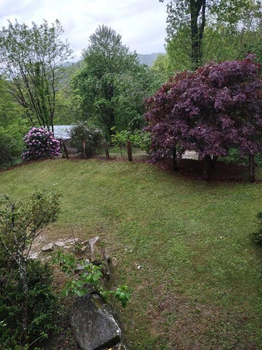فيلا Ridge Runner Retreat Glenville المظهر الخارجي الصورة